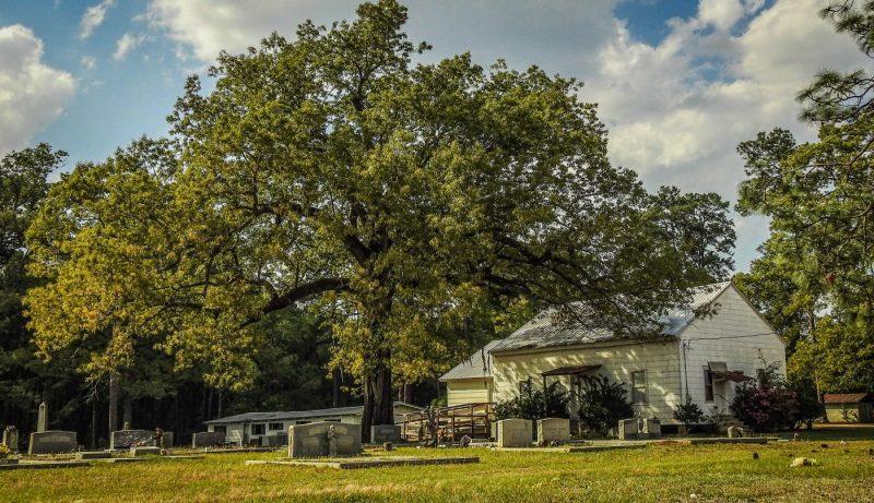This record contains 21 images of Concord Primitive Baptist.