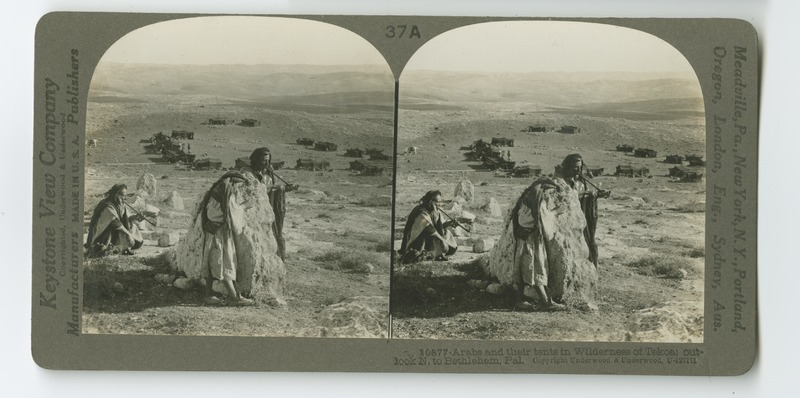 Some Bedouins settled in the desert near the biblical site of Takoa to the North of Bethlehem, their tents visible in the background.