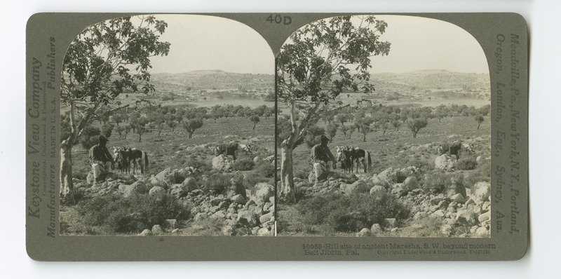 A view of Bet Guvrin (Beit Jibrin) from the hilltop site of the ancient city of Mareshah.