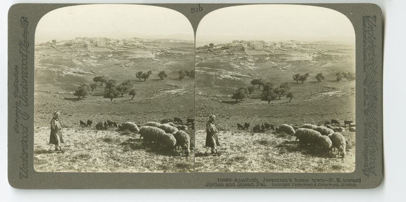 A view of the town of Anathoth (ʻAnātā) from the foot of Mount Scopus.